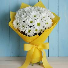 Букет цветов из:  Хризантемы в Быково Московской области