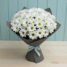 Букет цветов из:  Хризантемы в Быково Московской области