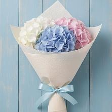 Букет цветов из:  Гортензия в Быково Московской области