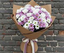 Букет цветов из:  Хризантемы в Быково Московской области