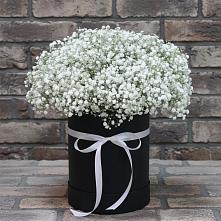 Цветочная композиция из Гипсофила в шляпной коробке в Быково Московской области