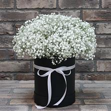 Цветочная композиция из Гипсофила в шляпной коробке в Быково Московской области