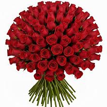 Букет Красные розы Чери Лав в Быково Московской области
