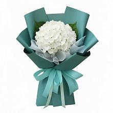 Букет цветов из:  Гортензия в Быково Московской области